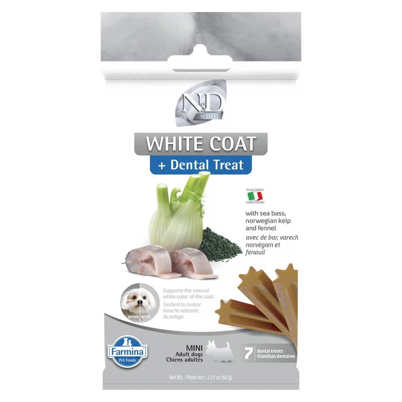 White Coat Dental Treat