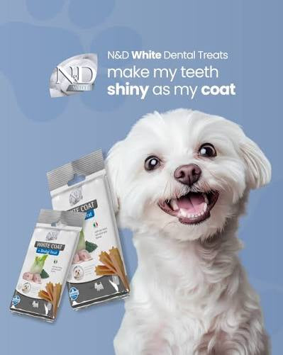 White Coat Dental Treat