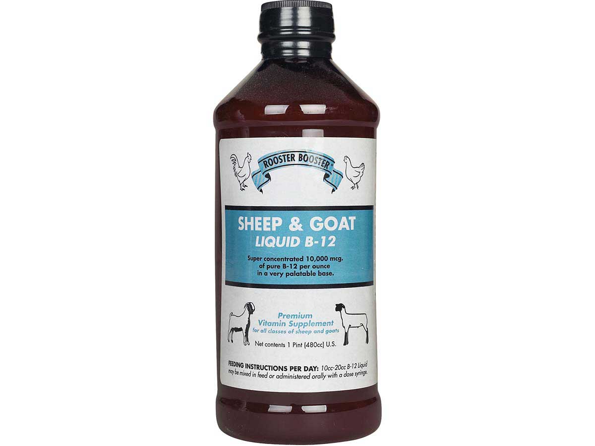 Sheep & Goat Liquid B-12