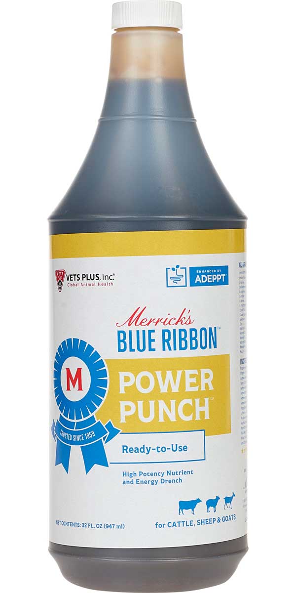 Power Punch