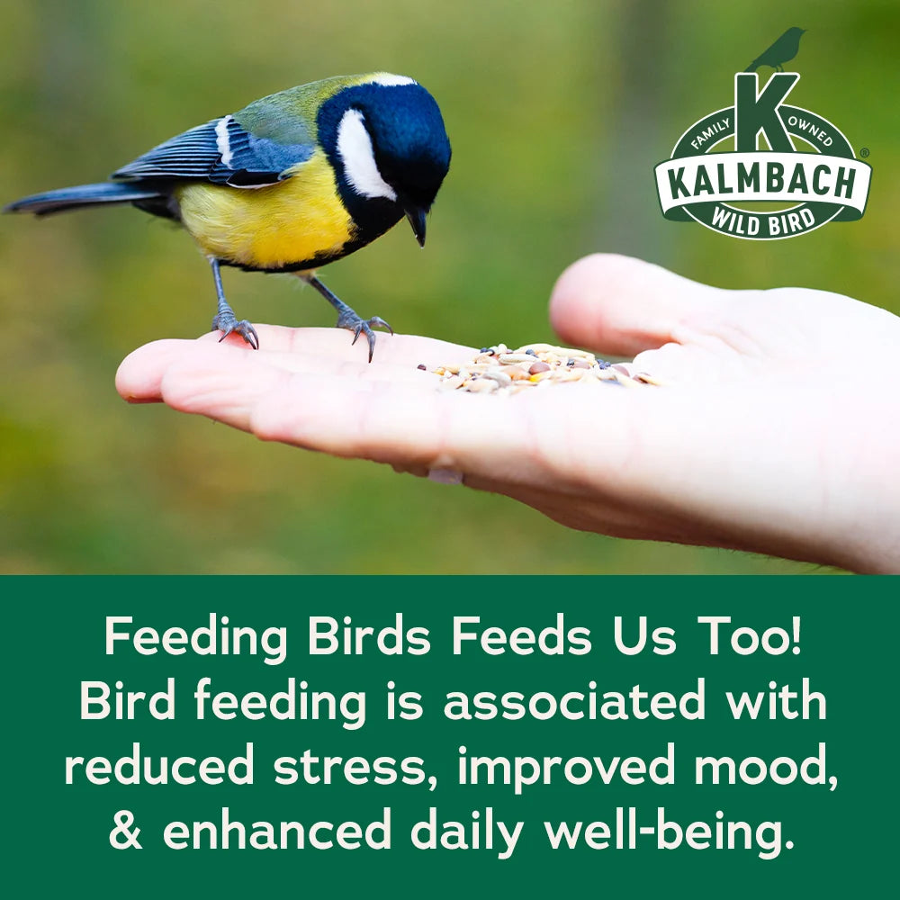 Songbird Reserve Premium Finch Blend (More than 50% Nyjer Seed)