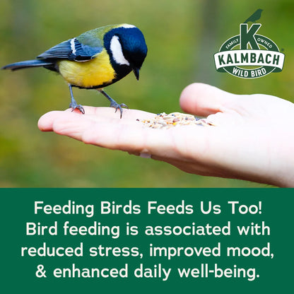 Songbird Reserve Premium Finch Blend (More than 50% Nyjer Seed)