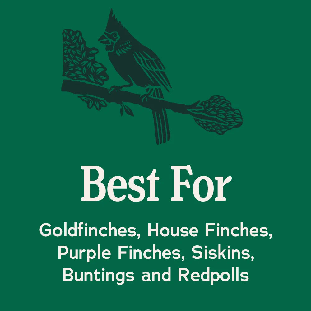 Songbird Reserve Premium Finch Blend (More than 50% Nyjer Seed)