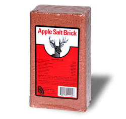 Apple Flavored Salt Brick