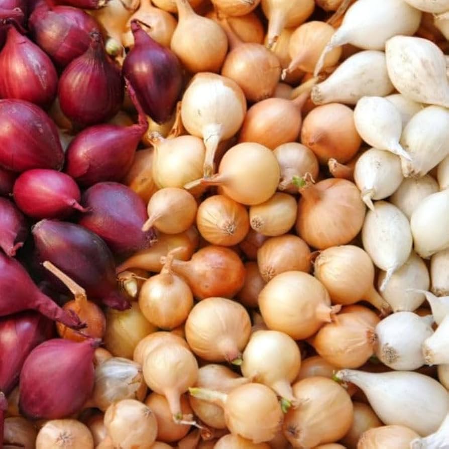 Onions per LB
