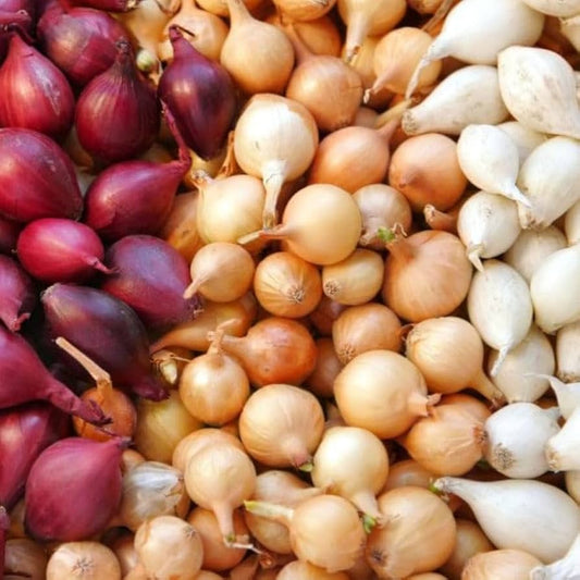 Onions per LB