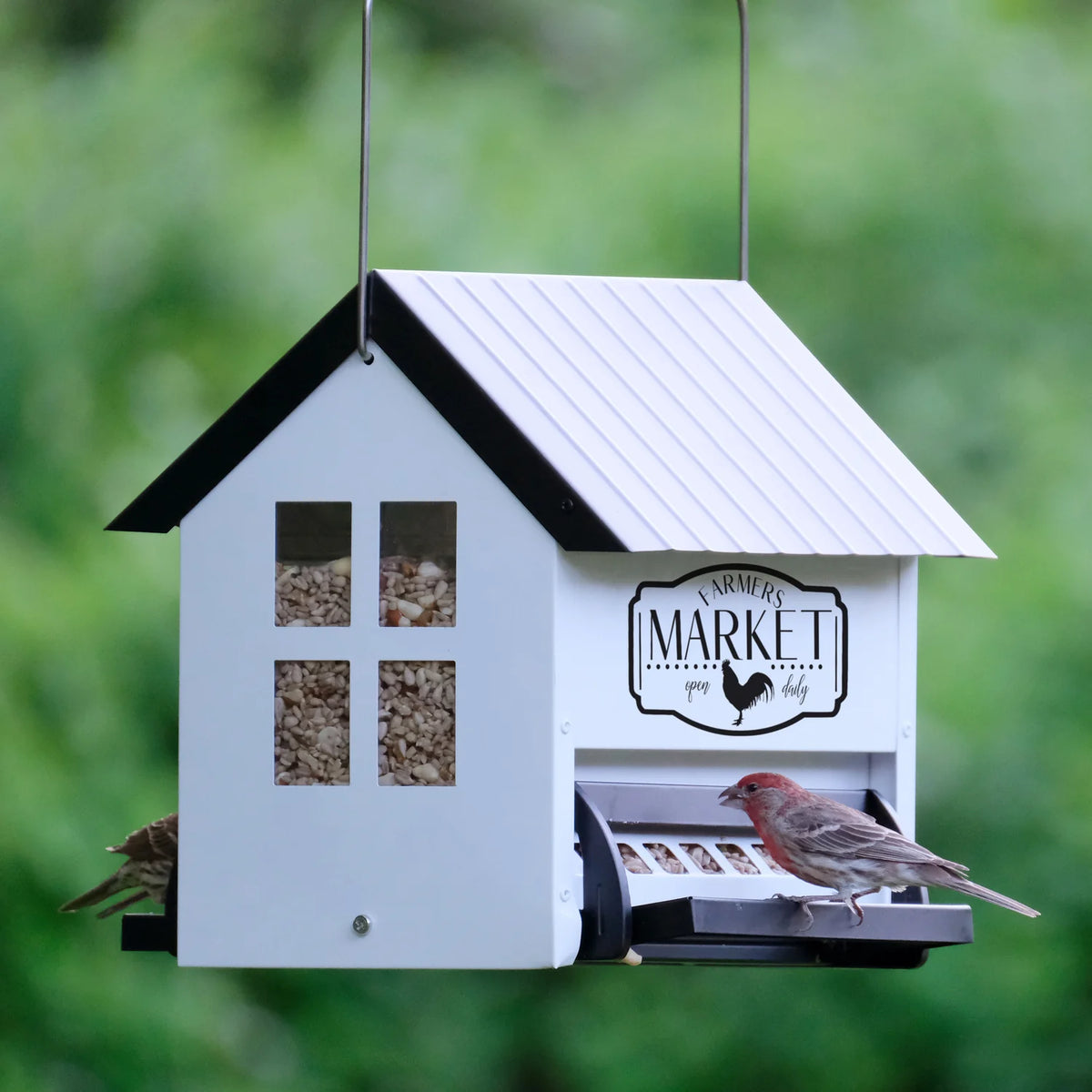 Squirrel Shield Metal Hopper Feeder
