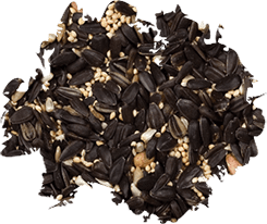 Gourmet Outdoor Bird Food