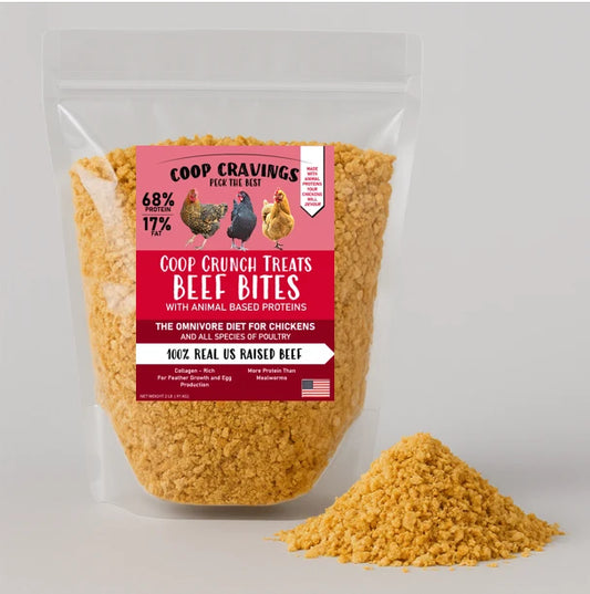 Beef Bites Coop Crunch Treats