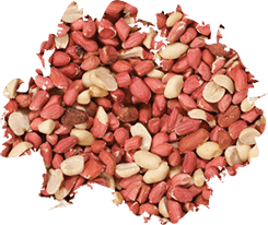 Shelled Peanuts