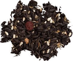 Songbird Food