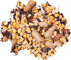 Crunch N’ Nut Squirrel Food