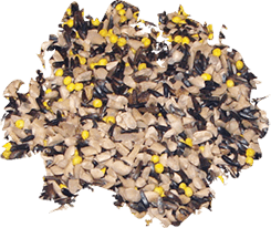 Golden Finch Food