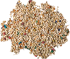 Better Bird Parakeet Food