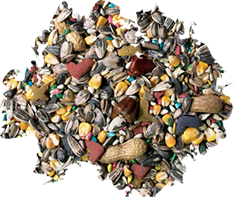 Better Bird Parrot Food