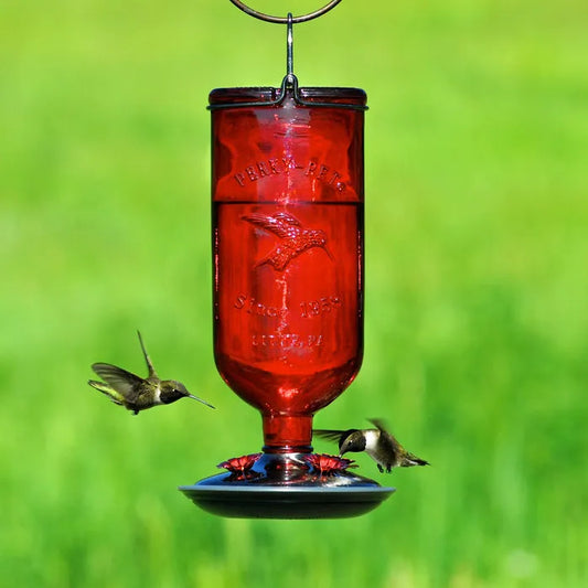 Glass Bottle Antique Red Hummingbird Feeder