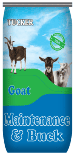 Tucker Milling Goat Maintenance & Buck