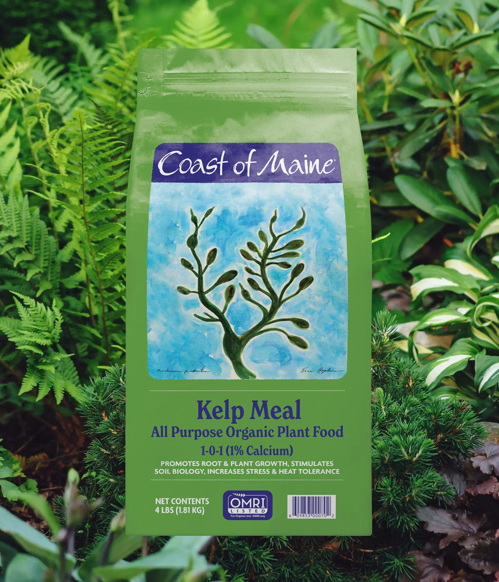 Coast of Maine Kelp Meal All Purpose Organic Plant Food
