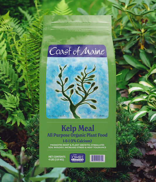 Coast of Maine Kelp Meal All Purpose Organic Plant Food
