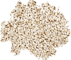 Wild Delight Safflower Seed 8lbs