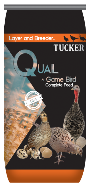 Quail & Game Bird Layer & Breeder