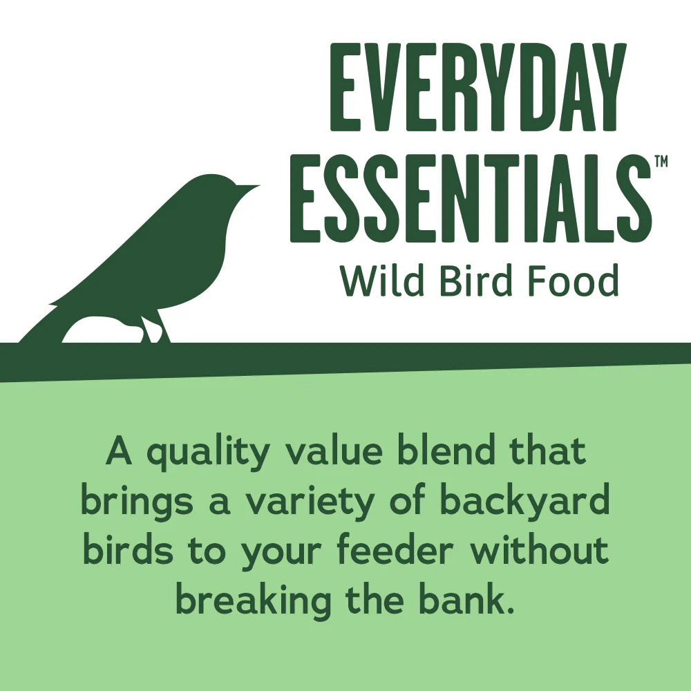 Everyday Essentials Wild Bird Food