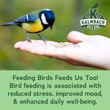 Everyday Essentials Wild Bird Food