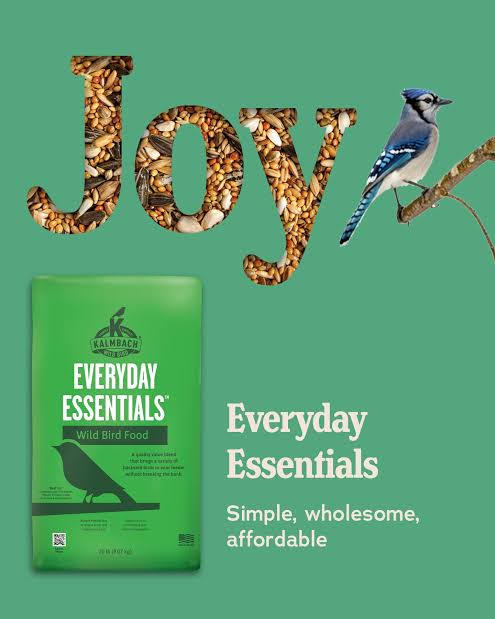 Everyday Essentials Wild Bird Food