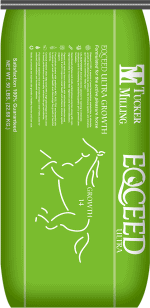 Eqceed Ultra Growth 14
