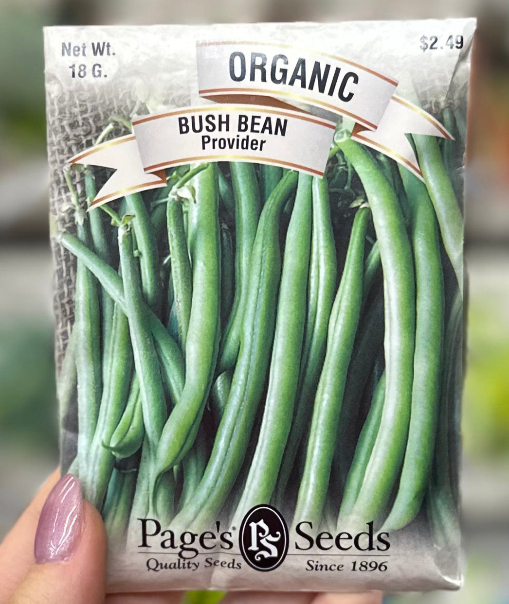 Organic Bush Bean Provider Seed