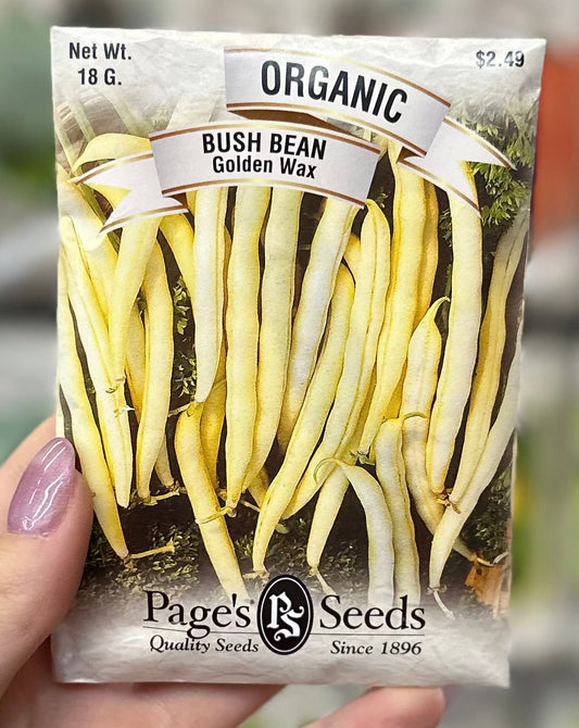 Organic Bush Bean Golden Wax Seed