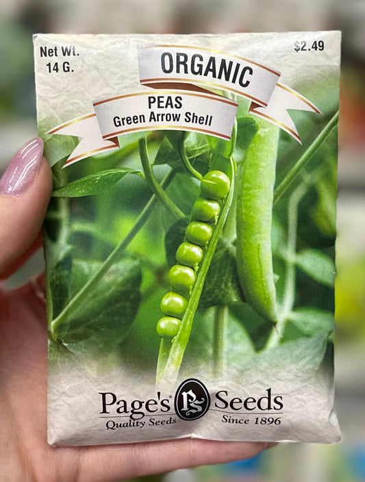 Organic Green Arrow Shell Peas Seed