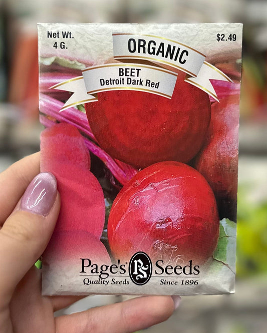 Organic Detroit Dark Red Beet Seed