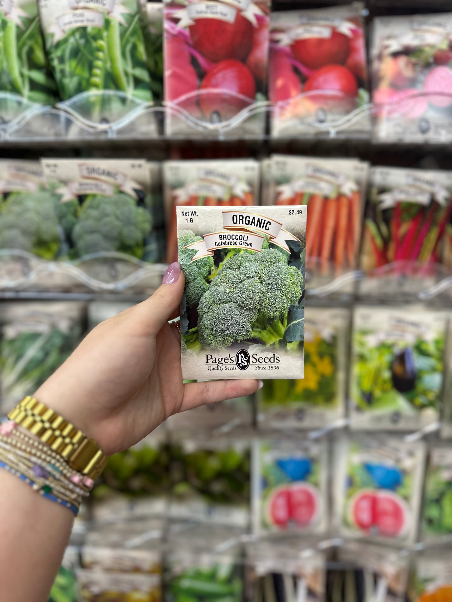 Organic Calabrese Green Broccoli Seed