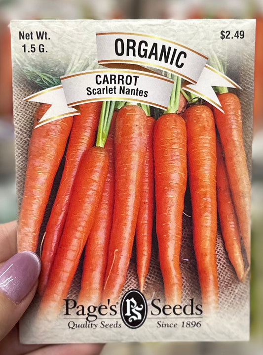Organic Scarlet Nantes Carrot Seed