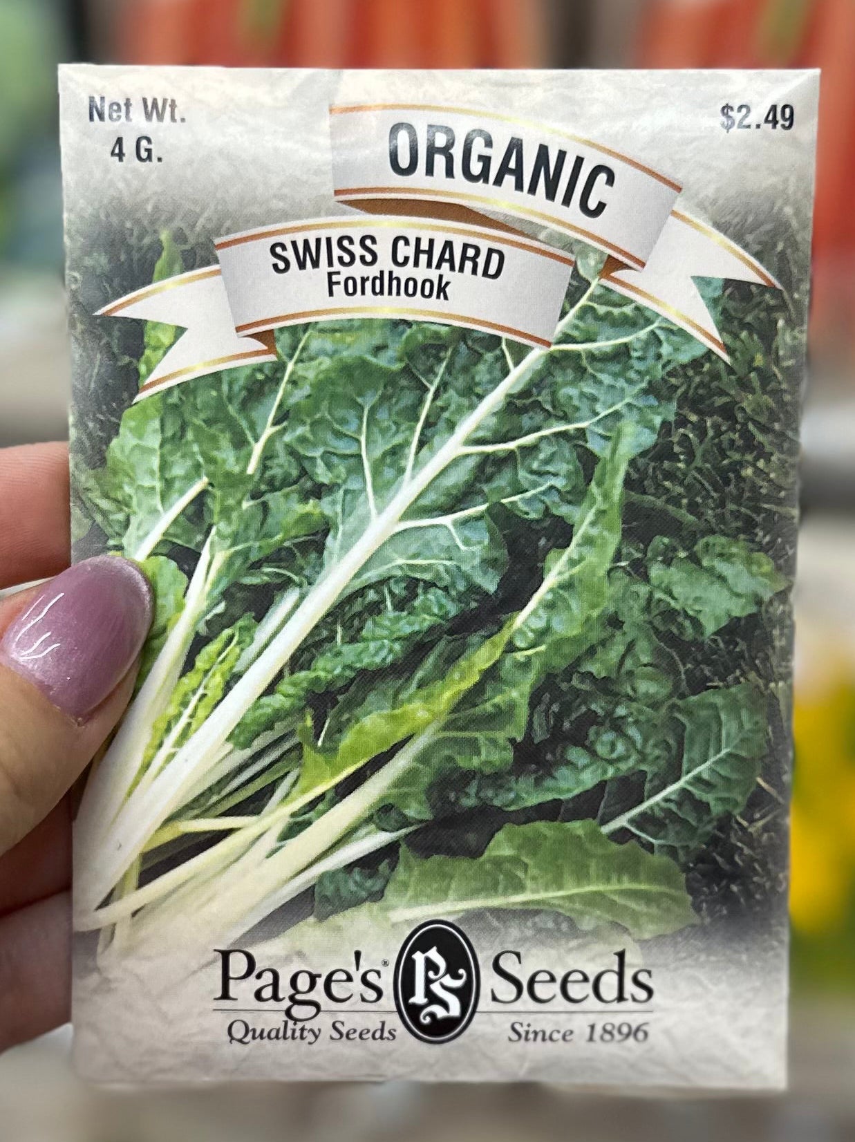 Organic Fordhook Swiss Chard