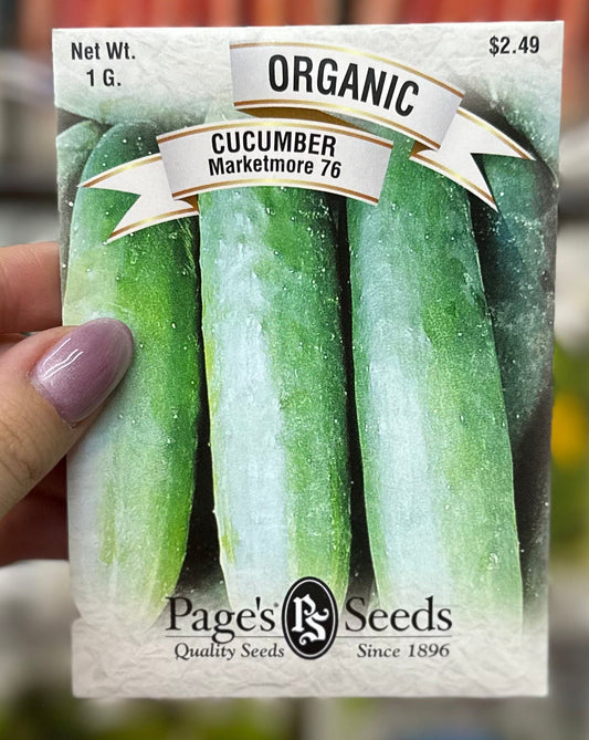 Organic Marketmore 76 Cucumber
