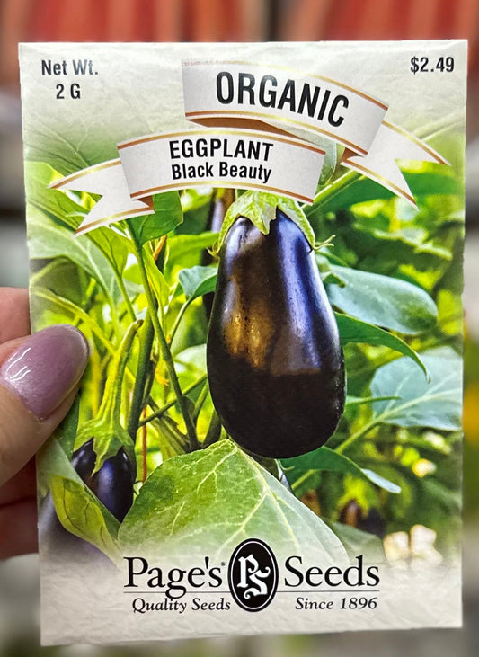 Organic Black Beauty Eggplant Seed