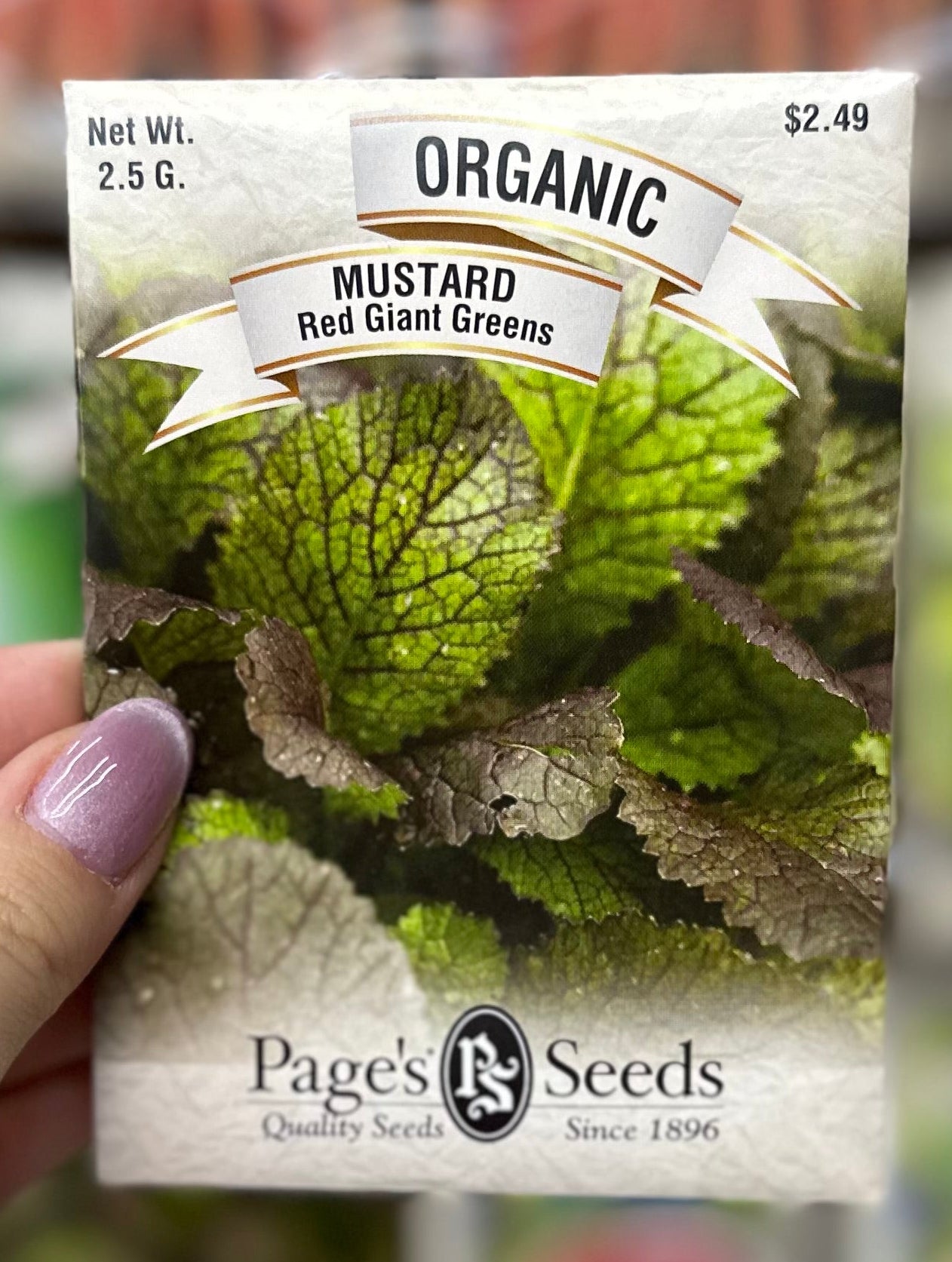 Organic Red Giant Greens Mustard Seeds