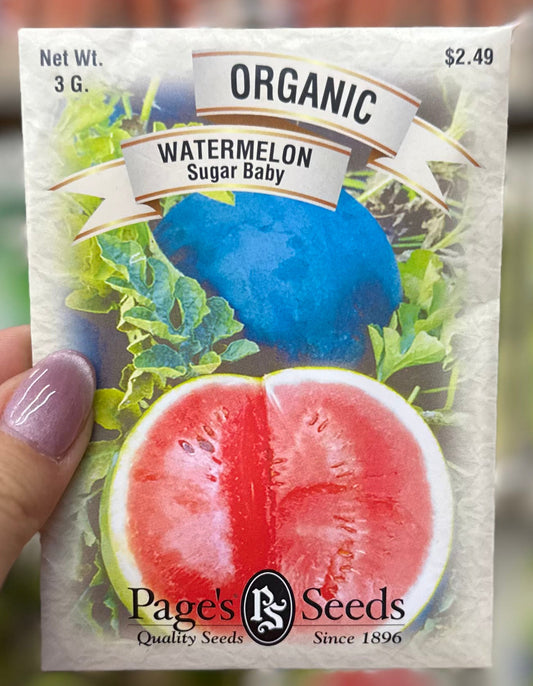 Organic Sugar Baby Watermelon Seed