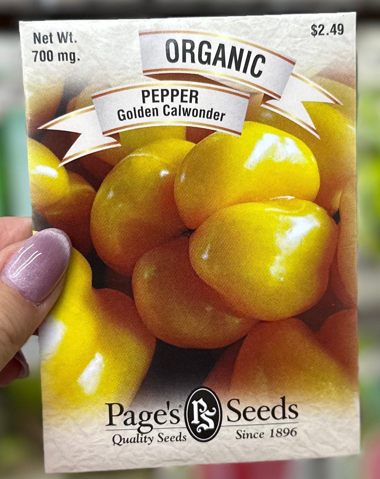 Organic Golden Calwonder Pepper Seed