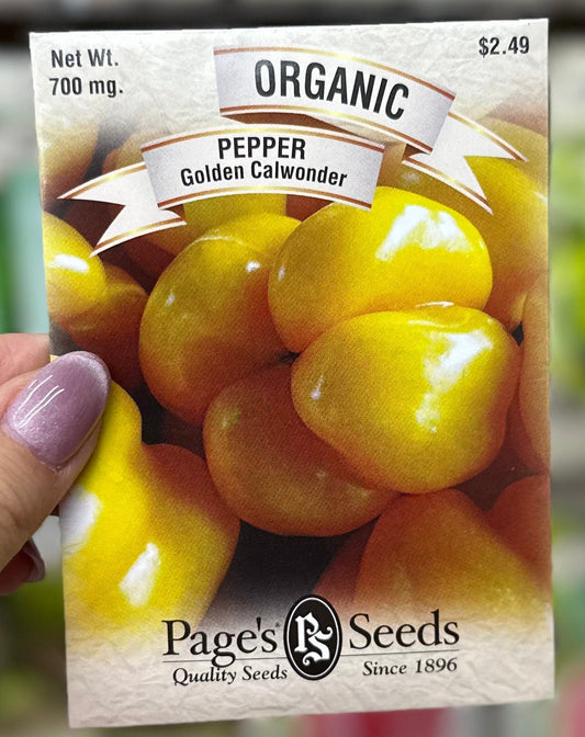 Organic Golden Calwonder Pepper Seed