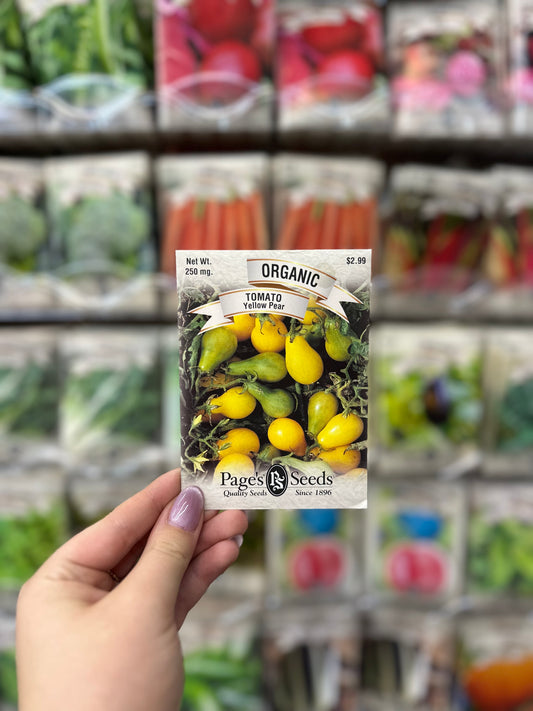 Organic Yellow Pear Tomato Seed