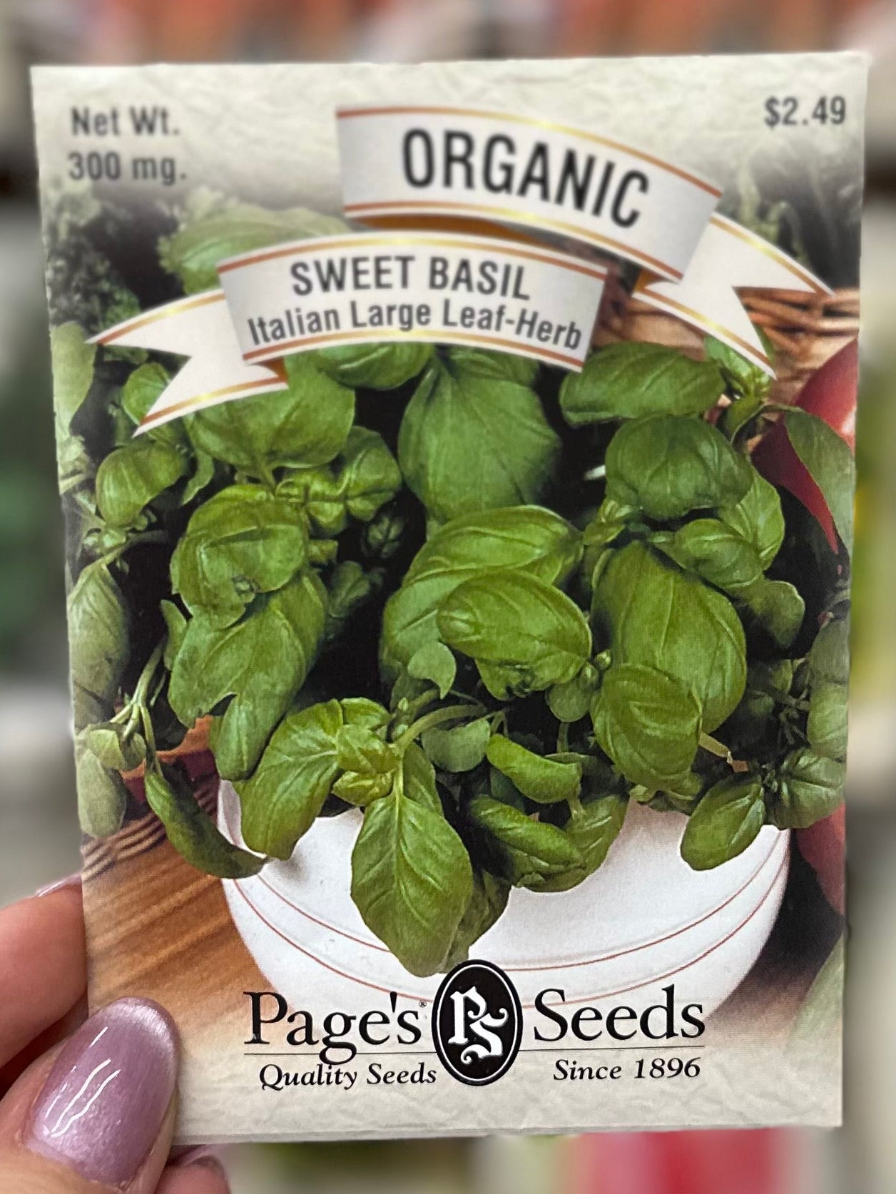 Semillas de albahaca dulce italiana de hoja grande orgánica