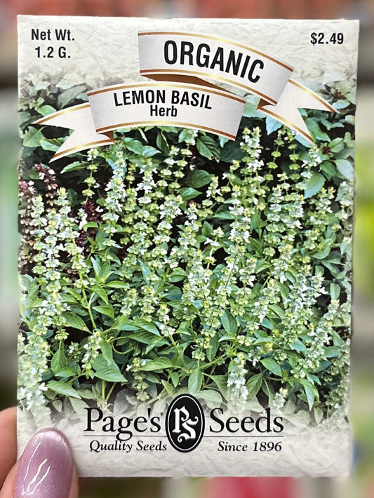 Organic Lemon Basil Seed