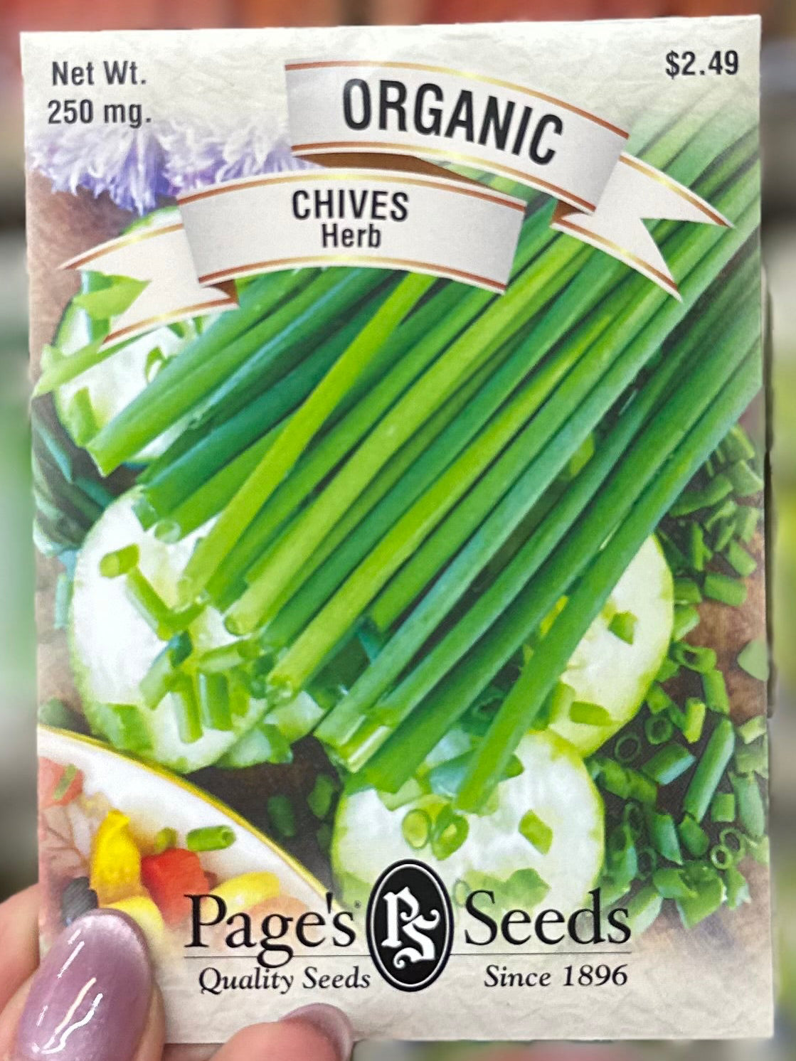 Organic Chives Seed