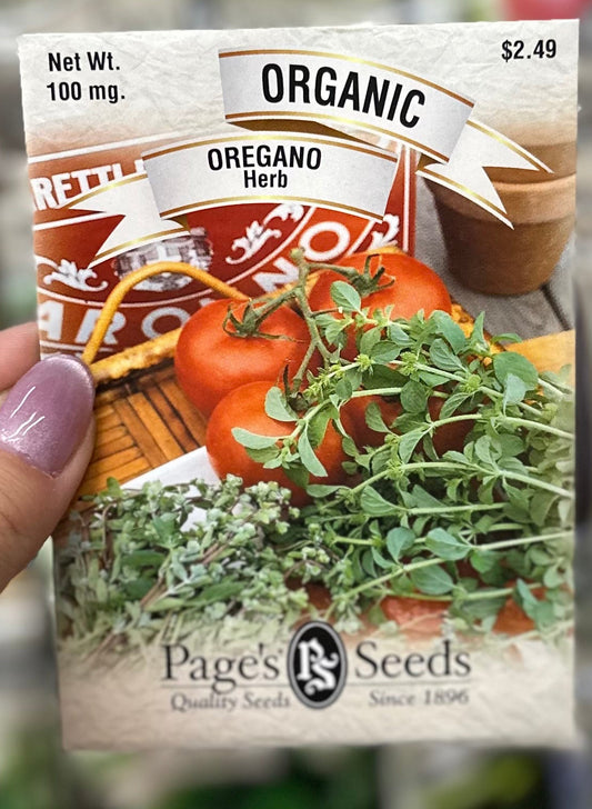 Organic Oregano Seed