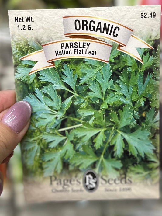 Organic Italian Flat Leaf Parsley Seed