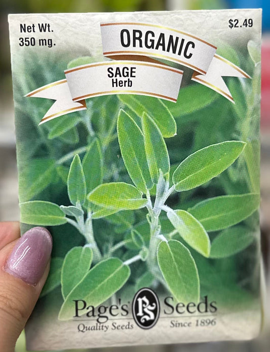 Organic Sage Seed