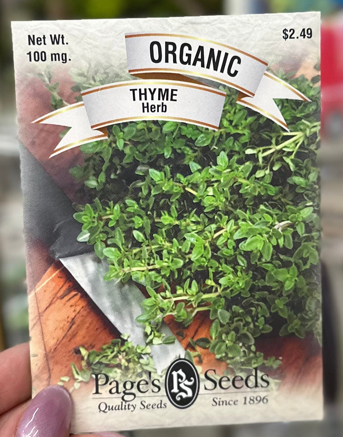 Organic Thyme Seed